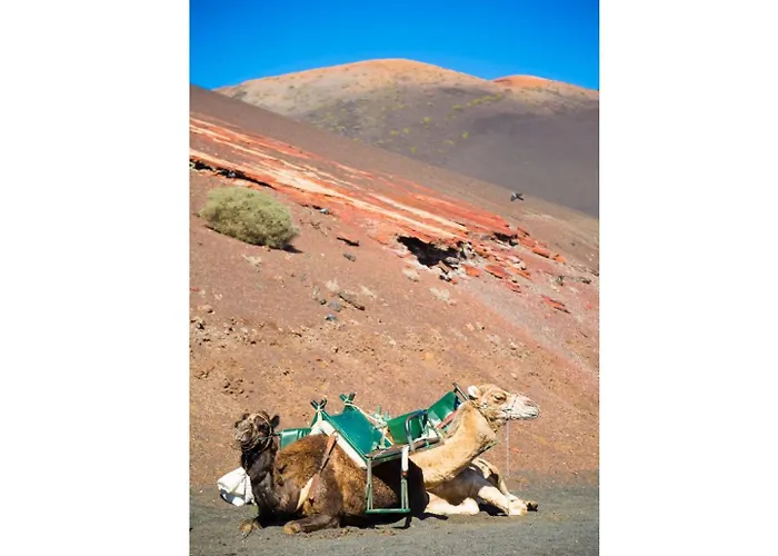 Вилла Sol Y Mar Яйса